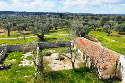 Landejendom i Carovigno, Brindisi, Carovigno - € 3.500.000 | Ref: 122559 - foto 5